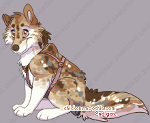 Pet