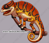 Pet