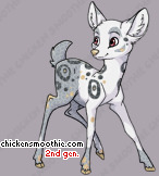 Pet