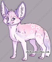Pet