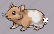 Pet