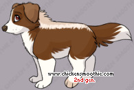 Pet