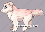 Pet