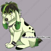 Pet