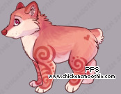 Pet