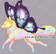 Pet