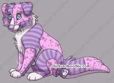 Pet