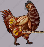 Pet