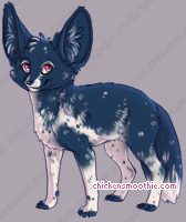 Pet