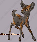 Pet