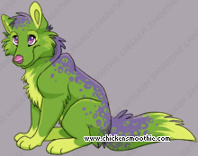 Pet