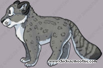 Pet