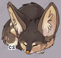 Pet
