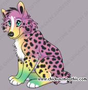 Pet