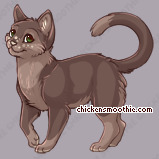 Pet