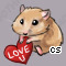 Pet
