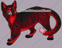 Pet
