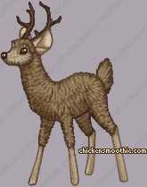 Pet