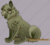 Pet