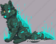 Pet