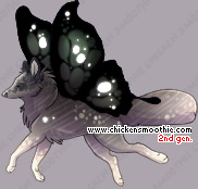 Pet