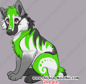 Pet