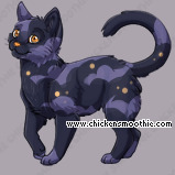 Pet