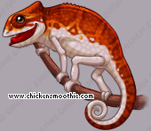 Pet