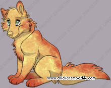 Pet