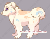Pet