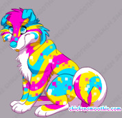 Pet