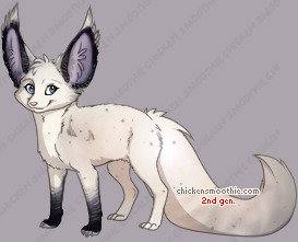 Pet