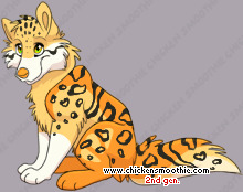 Pet