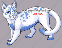 Pet