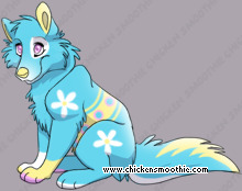 Pet