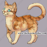 Pet