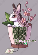 Pet