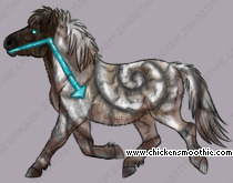 Pet