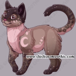 Pet