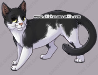 Pet