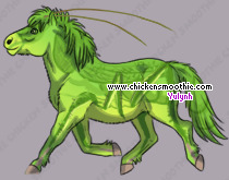 Pet