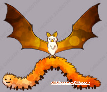 Pet