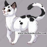 Pet