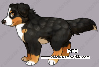 Pet