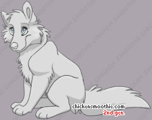 Pet
