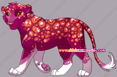 Pet