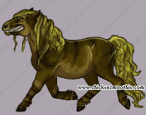 Pet