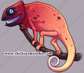 Pet