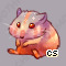 Pet