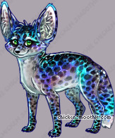 Pet